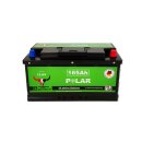Bulltron 165Ah Polar LiFePO4 12.8V Akku mit Smart BMS,...