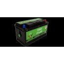 Bulltron 165Ah Polar LiFePO4 12.8V Akku mit Smart BMS,...