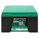 Saftkiste 300Ah LiFePO4 Lithium Akku Wohnmobil DualBMS inkl. App Batteriepole oben