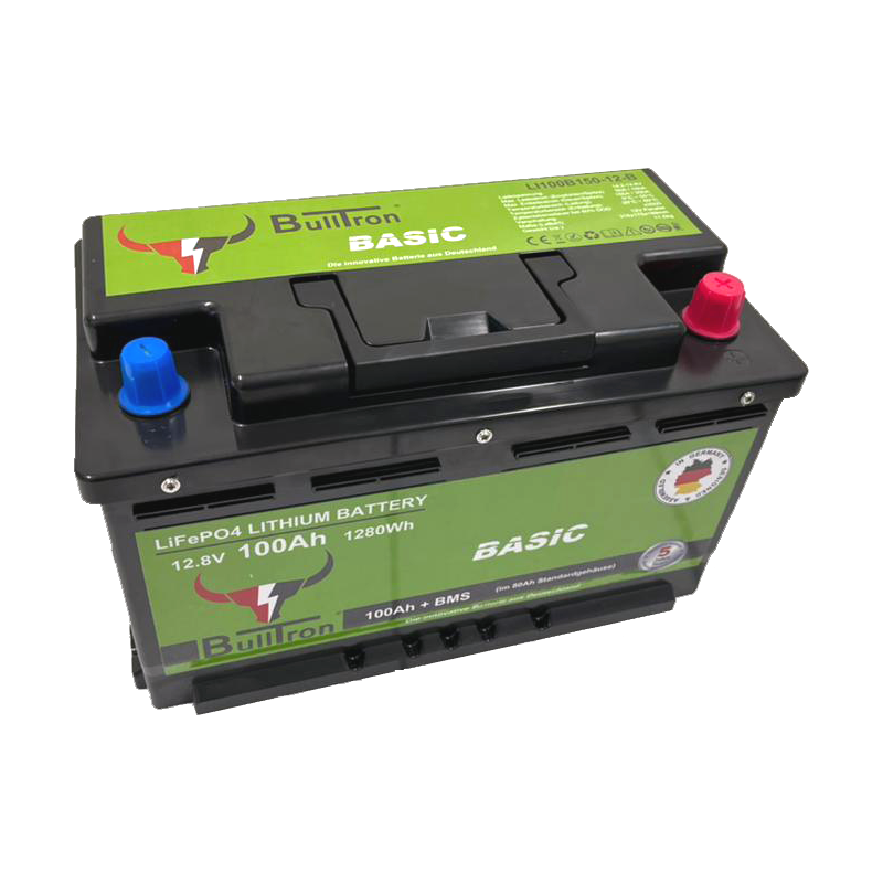 LiFePO4 Batterie 12V 100Ah inkl. BMS